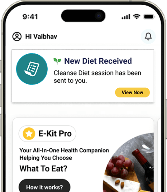 What You Get with the One-Day Diet Plan